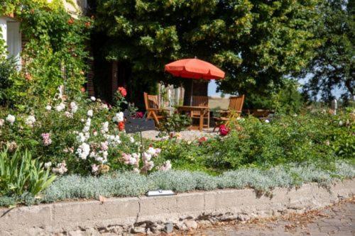 Apartmán Landurlaub Auf Dem Mellenhof Funkenhagen Exteriér fotografie